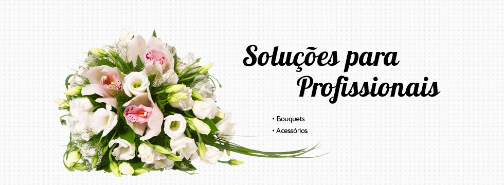 Soluções para profissionais